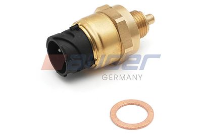 ΒΑΛΒΙΔΑ ΠΙΕΣΗΣ-ΘΕΡΜΟΚΡΑΣΙΑΣ 82507 (1673078) DAF 30.21.2006