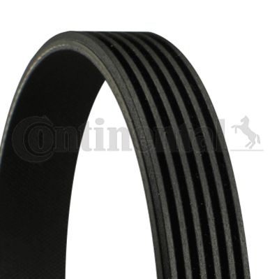 6PK0935 ΙΜΑΝΤΑΣ CONTINENTAL